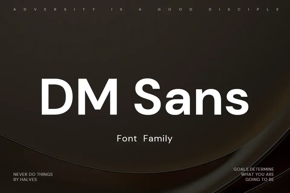 dm sans font family 1